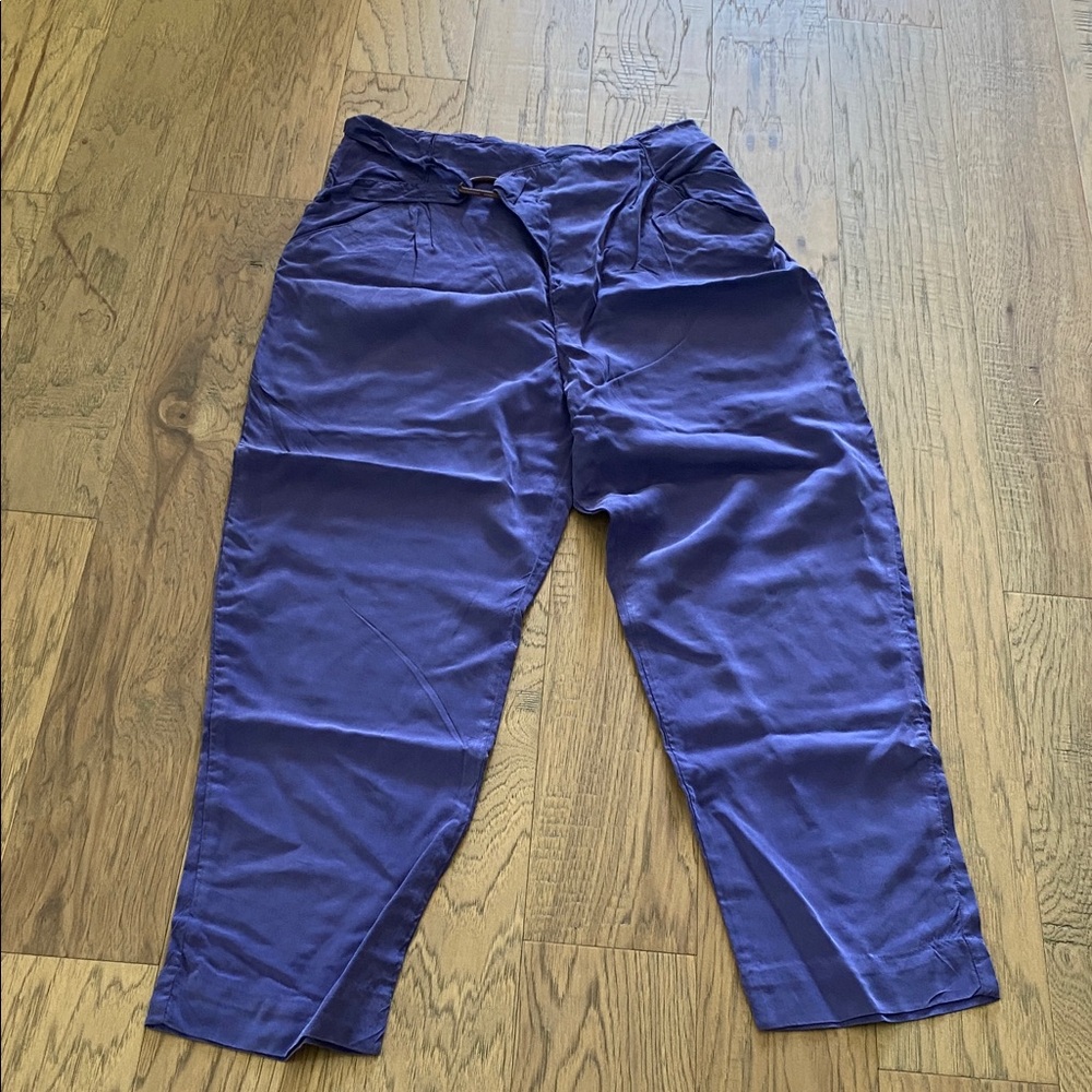 Anthropologie Violet Tapered Chinos